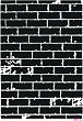  CADENCE -  - 21 x 29 cm - 