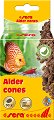 ������� �� ���� sera Alder Cones - 