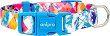 ���������� �������� �� ������ anipro Bold and Beautiful - 