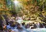 ������ ����� - 