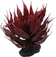 ���������� �������� �� �������� REPTI PLANET Agave Red - 