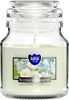 �������� ���� � ����� Bispol Blooming Jasmine - 