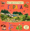 ����� ����� ������������ �� ������ - 