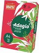    A4 Rey Adagio - 