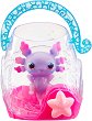 ��������� � �������� Bubble Reef - Goliath - 