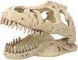 ��������� �� �������� T-Rex ����� - REPTI PLANET - 
