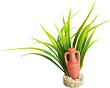     SYDECO Amphora Pm - 
