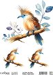 ���������� ��������� CADENCE - �����