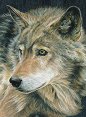    Royal & Langnickel -  - 22 x 30 cm    - 
