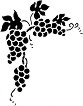 Шаблон CADENCE - Грозде - 15 x 20 cm -