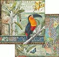 ������ �� ����������� Stamperia - ����� - 30.5 x 30.5 cm �� ���������� Amazonia - 