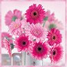�������� �� ������� Ambiente Pink gerberas - 20 ���� - 