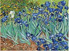    Foska -  - 50 x 40 cm - 