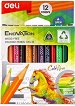 Къси цветни моливи Deli Enovation - 12 цвята -