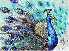    Foska -  - 50 x 40 cm - 