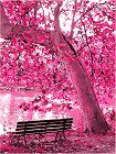    Foska -   - 40 x 50 cm - 