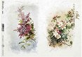   ITD Collection -   - A4 - 