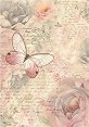   Stamperia - A4   Shabby Rose - 