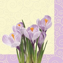    Daisy -  - 20  - 