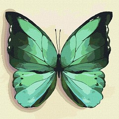    Ideyka -   - 25 x 25 cm - 