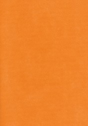   - 20 x 30 cm - 