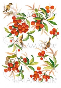  Calambour -  57 -   RP - 