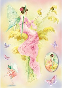   Stamperia -    - 48 x 33 cm - 