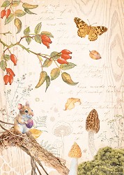   Stamperia -    - A4   Woodland - 