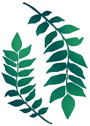  Stamperia -    - 21 x 29.7 cm - 