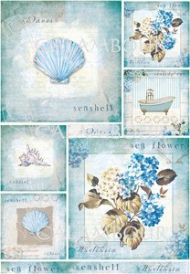   Calambour -    02 -   Trend Collection - 