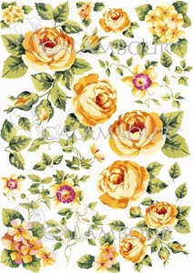   Calambour -   10 -   Trend Collection - 