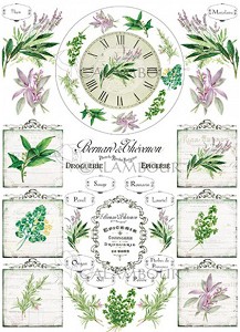   Calambour -  17 -   Trend Collection - 
