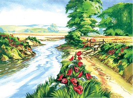    Royal & Langnickel -    - 39 x 30 cm - 
