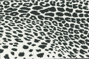   KPC -  - 30 x 45 cm - 