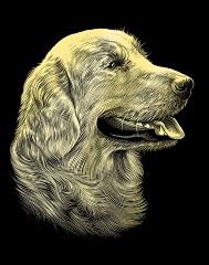   Reeves -  - 20 x 25 cm - 