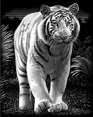   Reeves -  - 20 x 25 cm - 