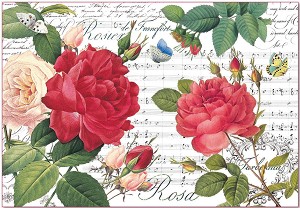   Stamperia -     - 50 x 35 cm - 