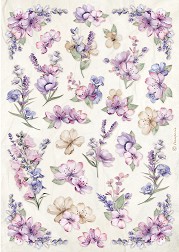   Stamperia -   - A4   Lavender - 