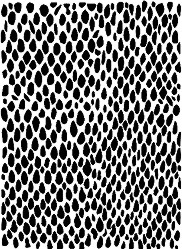  CADENCE -  - 21 x 29 cm - 