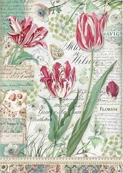   Stamperia -   - A4 - 