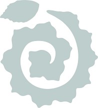        Sizzix -  - 2   6.4  29 cm - 