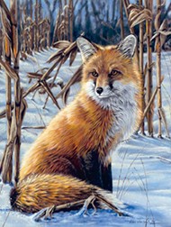    Reeves -  - 22 x 30 cm - 