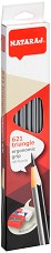   HB Nataraj 621 Triangle - 12      - 