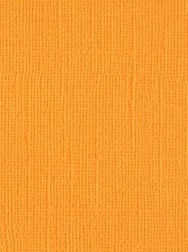      - A4, 216 g/m<sup>2</sup> - 