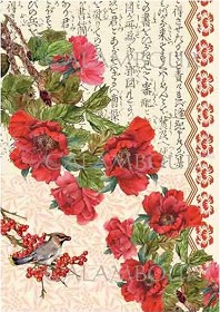   Calambour -   22 - 30 x 42 cm - 