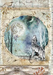   Stamperia -  - A4   Cosmos - 