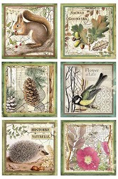   Stamperia -   - A4   Forest - 