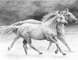 Рисуване по номера Royal & Langnickel - Коне - 30 x 23 cm с графични моливи - 