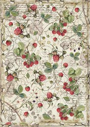   Stamperia -   - A4   Forest - 