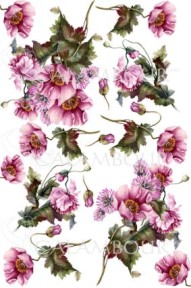   Calambour -   48 - 30.4 x 45 - 